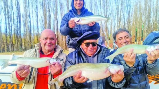 25 pesqueros para las vacaciones de invierno, tercera parte