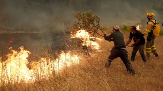 España declaró emergencia nacional por un megaincendio que amenaza con devorar Madrid y Ávila