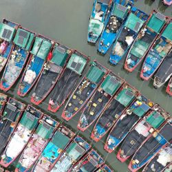 Imagen tomada con un dron de botes pesqueros refugiándose del tifón en un puerto, en la Zona de Cooperación Especial de Shenzhen-Shanwei, en la provincia de Guangdong, en el sur de China. | Foto:Xinhua/Lu Hanxin
