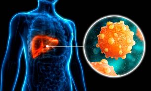 Hepatitis 26072026 