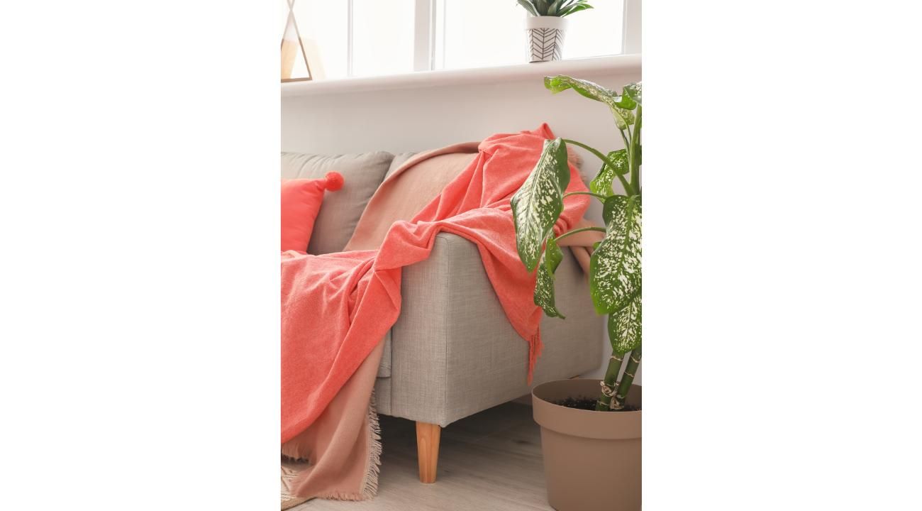 Algunas tendencias deco 2026: una mirada desde el Feng Shui Integrativo