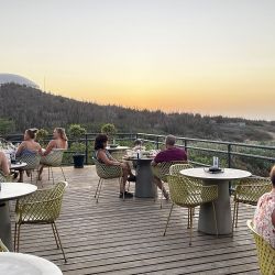 Alto Vista Winery.