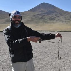 Basado en evidencia arqueológica procedente de 50 sitios distribuidos por todo el continente, el trabajo muestra que las poblaciones tempranas centraban su dieta principalmente en herbívoros de miles de kilos,
