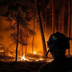 Esta fotografía, distribuida por la Unidad Militar de Emergencias (UME) de España, muestra a sus miembros combatiendo un incendio forestal en la zona de La Mierla, cerca de Guadalajara, a unos 100 kilómetros al norte de Madrid. El incendio, que se desató en La Mierla, cerca de Guadalajara, ha devastado más de 29.000 hectáreas y provocado la evacuación de varios cientos de personas. | Foto:UME / AFP