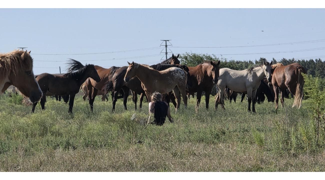 Denise Rodríguez: La creadora de Holayoconyo que habla con animales y les da voz