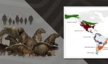 Cientificos argentinos afirman que los primeros americanos eran especialistas en cazar megafauna