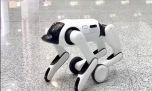 Te presentamos al primer robot humanoide del mundo que altera su cuerpo según el terreno