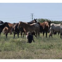 Denise Rodríguez: La creadora de Holayoconyo que habla con animales y les da voz