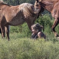 Denise Rodríguez: La creadora de Holayoconyo que habla con animales y les da voz