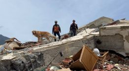 perros_rescatistas