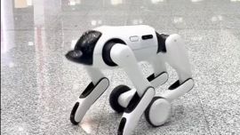 El robot cambia de cuerpo según la situación.
