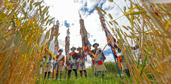 Agricultores portan atuendos tradicionales mientras rezan por una cosecha abundante junto a un campo de cultivo durante el Festival Ongkor, en la comunidad Tashi Chodan, en Shannan, en la región autónoma de Xizang, en el suroeste de China.
