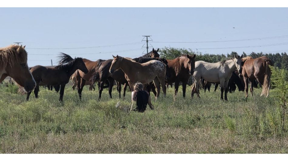 Denise Rodríguez: La creadora de Holayoconyo que habla con animales y les da voz
