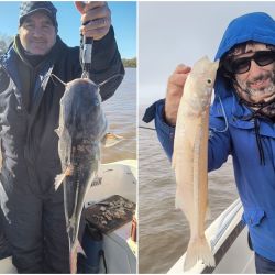 Mientras el río Uruguay continúa recibiendo una importante cantidad de agua oscura proveniente de las crecidas registradas aguas arriba, el Paraná conserva una mayor claridad.