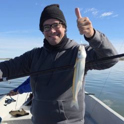 Lo más destacado fue la regularidad del pique, ya que los dos días la respuesta de los pejerreyes fue prácticamente idéntica, confirmando que Hinojo Grande mantiene una pesca muy estable durante esta temporada.