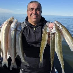Lo más destacado fue la regularidad del pique, ya que los dos días la respuesta de los pejerreyes fue prácticamente idéntica, confirmando que Hinojo Grande mantiene una pesca muy estable durante esta temporada.