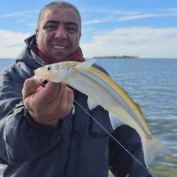 Lo más destacado fue la regularidad del pique, ya que los dos días la respuesta de los pejerreyes fue prácticamente idéntica, confirmando que Hinojo Grande mantiene una pesca muy estable durante esta temporada.
