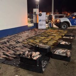 Desde la Prefectura Naval Argentina remarcaron que este tipo de controles forma parte de una estrategia conjunta con autoridades nacionales y provinciales destinada a combatir la pesca ilegal, evitar la explotación indiscriminada de los recursos naturales y garantizar la conservación de las especies para las futuras generaciones.