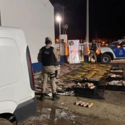 Desde la Prefectura Naval Argentina remarcaron que este tipo de controles forma parte de una estrategia conjunta con autoridades nacionales y provinciales destinada a combatir la pesca ilegal, evitar la explotación indiscriminada de los recursos naturales y garantizar la conservación de las especies para las futuras generaciones.