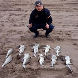 El repunte de la pesca llega en un momento ideal, ya que el calendario de competencias comienza a tomar forma. La primera gran cita será el 23 de agosto, cuando el Club Deportivo Central de Tres Arroyos, con fiscalización del Club de Pesca de Tres Arroyos,