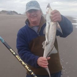 El repunte de la pesca llega en un momento ideal, ya que el calendario de competencias comienza a tomar forma. La primera gran cita será el 23 de agosto, cuando el Club Deportivo Central de Tres Arroyos, con fiscalización del Club de Pesca de Tres Arroyos,