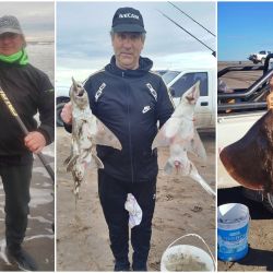 El repunte de la pesca llega en un momento ideal, ya que el calendario de competencias comienza a tomar forma. La primera gran cita será el 23 de agosto, cuando el Club Deportivo Central de Tres Arroyos, con fiscalización del Club de Pesca de Tres Arroyos,