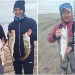 El repunte de la pesca llega en un momento ideal, ya que el calendario de competencias comienza a tomar forma. La primera gran cita será el 23 de agosto, cuando el Club Deportivo Central de Tres Arroyos, con fiscalización del Club de Pesca de Tres Arroyos,