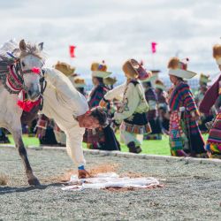 Un jinete realiza la maniobra ecuestre de recoger una hada, un pañuelo tradicional tibetano de seda, a caballo durante la ceremonia de apertura de una competencia de carreras de caballos, en el distrito de Amdo, en la región autónoma de Xizang, en el suroeste de China. | Foto:Xinhua/Tenzin Nyida
