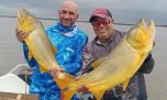 Dorados de gran porte antes del pico de la creciente del Paraná en Cayastá