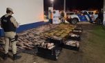 Golpe a la pesca ilegal: Prefectura incautó 1.300 kilos de pescado durante un control en Paranacito