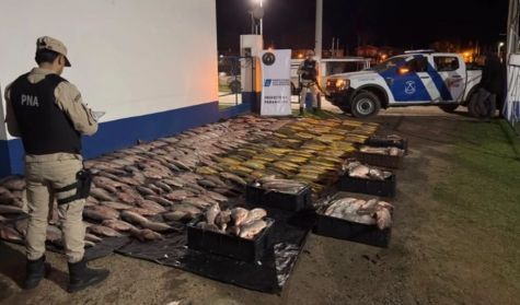 2807_PESCA 