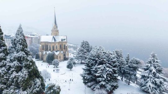 Bariloche deslumbró en la Expo Rural: gastronomía, invierno y turismo masivo