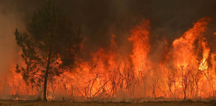 Esta fotografía muestra una zona boscosa envuelta en llamas en Marcheprime, al oeste de Burdeos, mientras un incendio forestal asolaba el bosque al norte de la cuenca de Arcachon (Gironda). El fuego, que ha arrasado la zona alrededor de la cuenca de Arcachon y ahora amenaza las afueras del área metropolitana de Burdeos, ha destruido 42.000 hectáreas de terreno quemado, según anunció la prefectura de Gironda; la prefectura ha evacuado a un total de 220.000 personas desde el 22 de julio.
