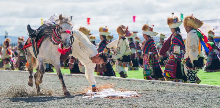 Un jinete realiza la maniobra ecuestre de recoger una hada, un pañuelo tradicional tibetano de seda, a caballo durante la ceremonia de apertura de una competencia de carreras de caballos, en el distrito de Amdo, en la región autónoma de Xizang, en el suroeste de China.