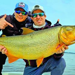Dorados en Concordia.