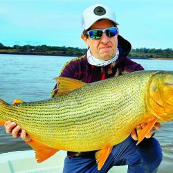 Dorados en Concordia.