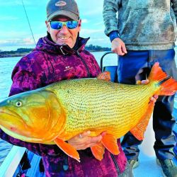Dorados en Concordia.
