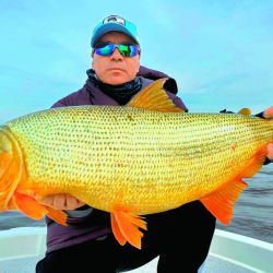 Dorados en Concordia.
