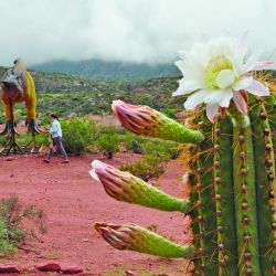 Trekking con geniales panorámicas en los alrededores del dique Los Sauces, donde la aventura riojana tiene múltiples variantes para descubrir. 