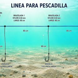 Tanto las escolleras como los frentes de piedra son sectores ideales para la búsqueda del pez palo y la pescadilla. 