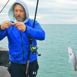 Tanto las escolleras como los frentes de piedra son sectores ideales para la búsqueda del pez palo y la pescadilla. 