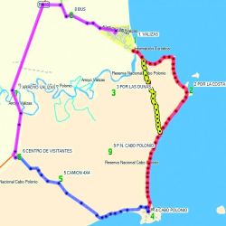 Desde Barra de Valizas, dos senderos permiten llegar a pie hasta Cabo Polonio entre playas vírgenes, médanos móviles, monte nativo y vistas abiertas al Atlántico.
