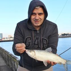 Para enfrentar un escenario tan complejo, los pescadores recurrieron a equipos muy específicos. Las líneas de cinco boyas de apenas 8 mm, combinadas con punteros lastrados para pescar contra la corriente, fueron las más utilizadas. 