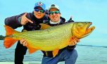 El regreso de los dorados gigantes