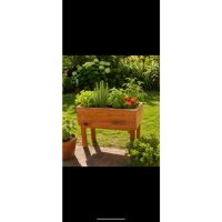 Vivero en casa, un rincón que crece conmigo