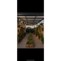 Vivero en casa, un rincón que crece conmigo