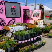 Vivero en casa, un rincón que crece conmigo