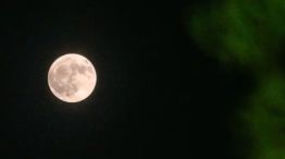 Luna llena del ciervo de julio