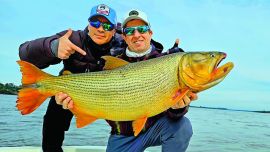 El regreso de los dorados gigantes