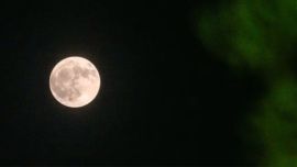 Luna llena del ciervo: el motivo ancestral tras la denominación del fenómeno astronómico de julio